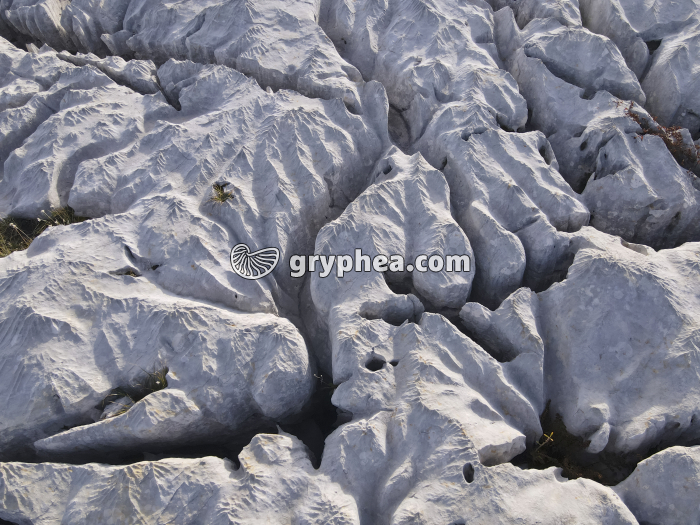 Lapiaz - détail - Parmelan (vue aérienne) - gryphea.org